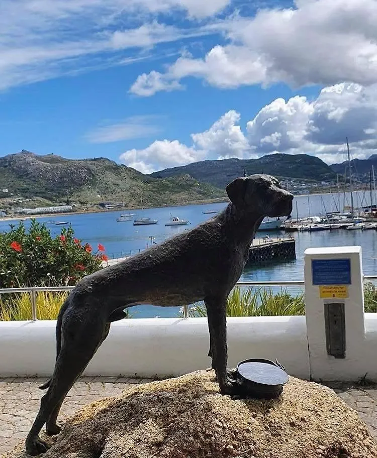 Casa vacanze Villa Eindelik Simonʼs Town